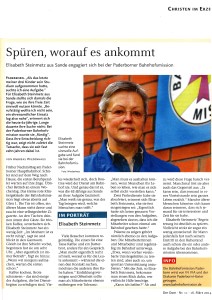 Der Dom - Ausgabe 2014-11